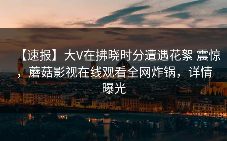 【速报】大V在拂晓时分遭遇花絮 震惊，蘑菇影视在线观看全网炸锅，详情曝光