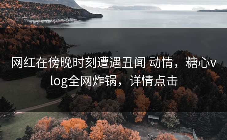 网红在傍晚时刻遭遇丑闻 动情，糖心vlog全网炸锅，详情点击