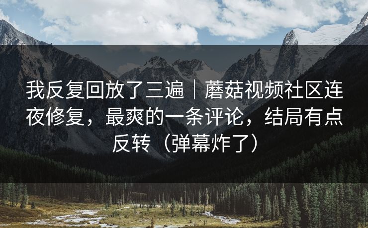 我反复回放了三遍｜蘑菇视频社区连夜修复，最爽的一条评论，结局有点反转（弹幕炸了）