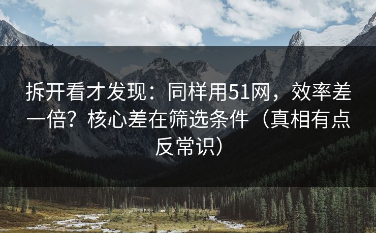 拆开看才发现：同样用51网，效率差一倍？核心差在筛选条件（真相有点反常识）